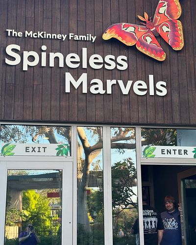 Okay, I understand that “Invertebrate Marvels” doesn’t have quite the same ring to it, but I was offended on behalf of the in...