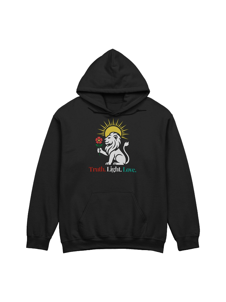 Truth Light Love - Hoodie (Style 1) product image (21)