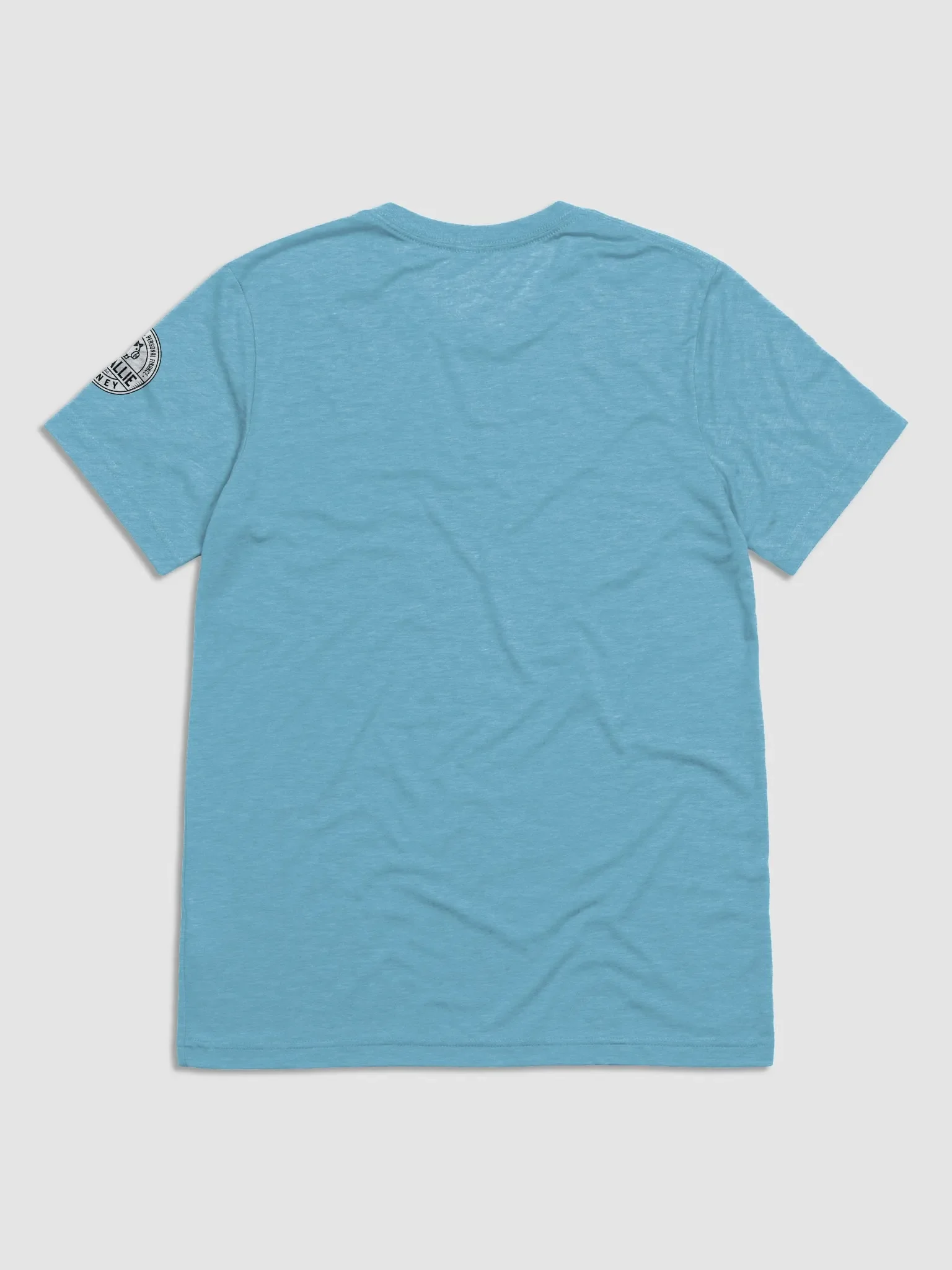 Fitted T product image (18)