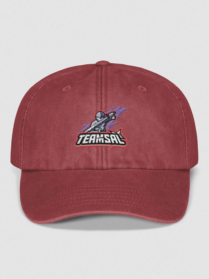 Team Sal Dad Hat product image (5)