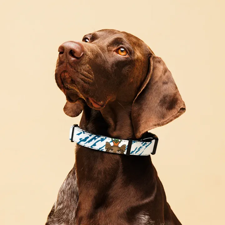 Gratzockers-BFF-Hundehalsband 