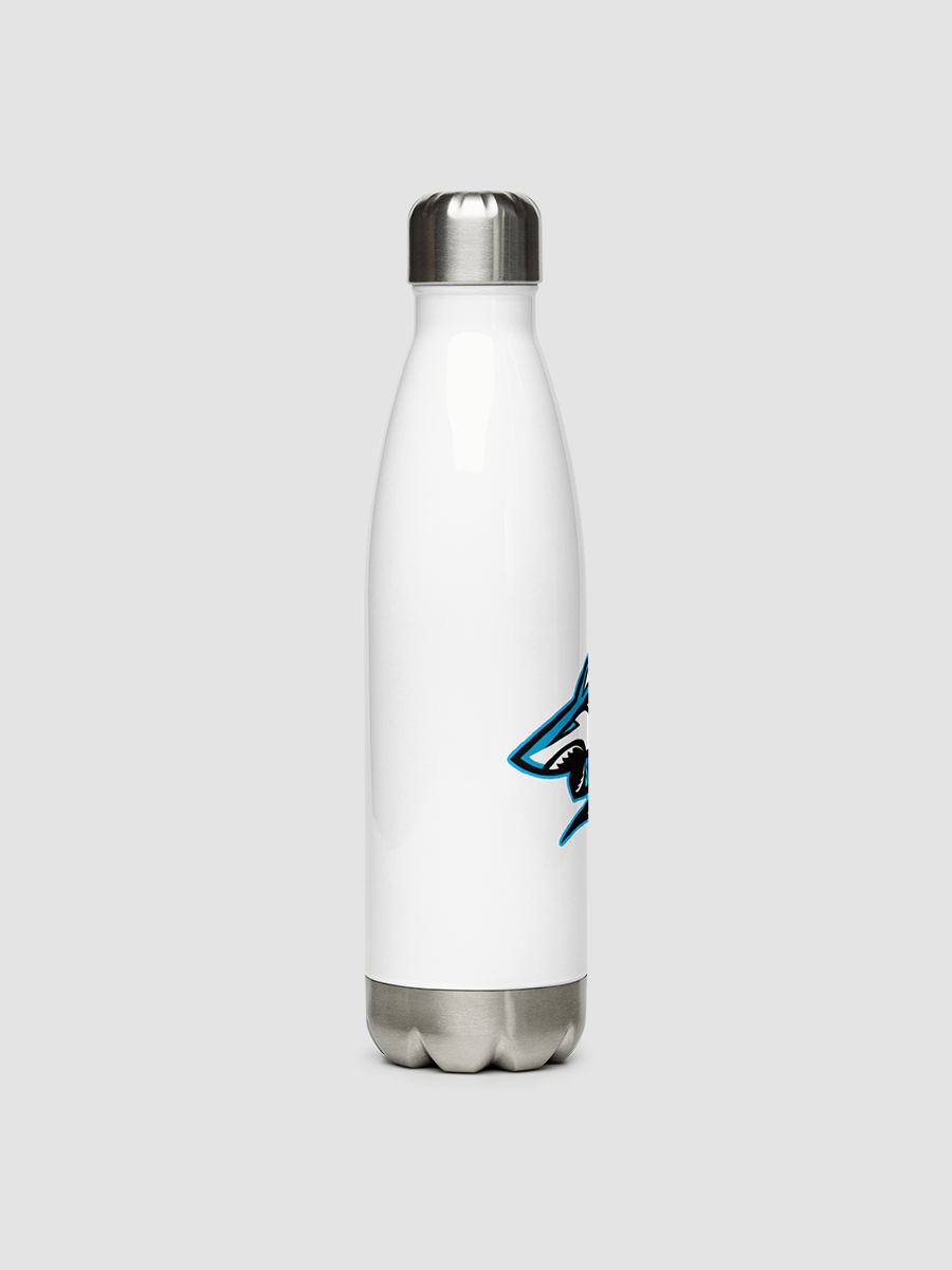 Sylver's Stainless Steel Water Bottle product image (3)