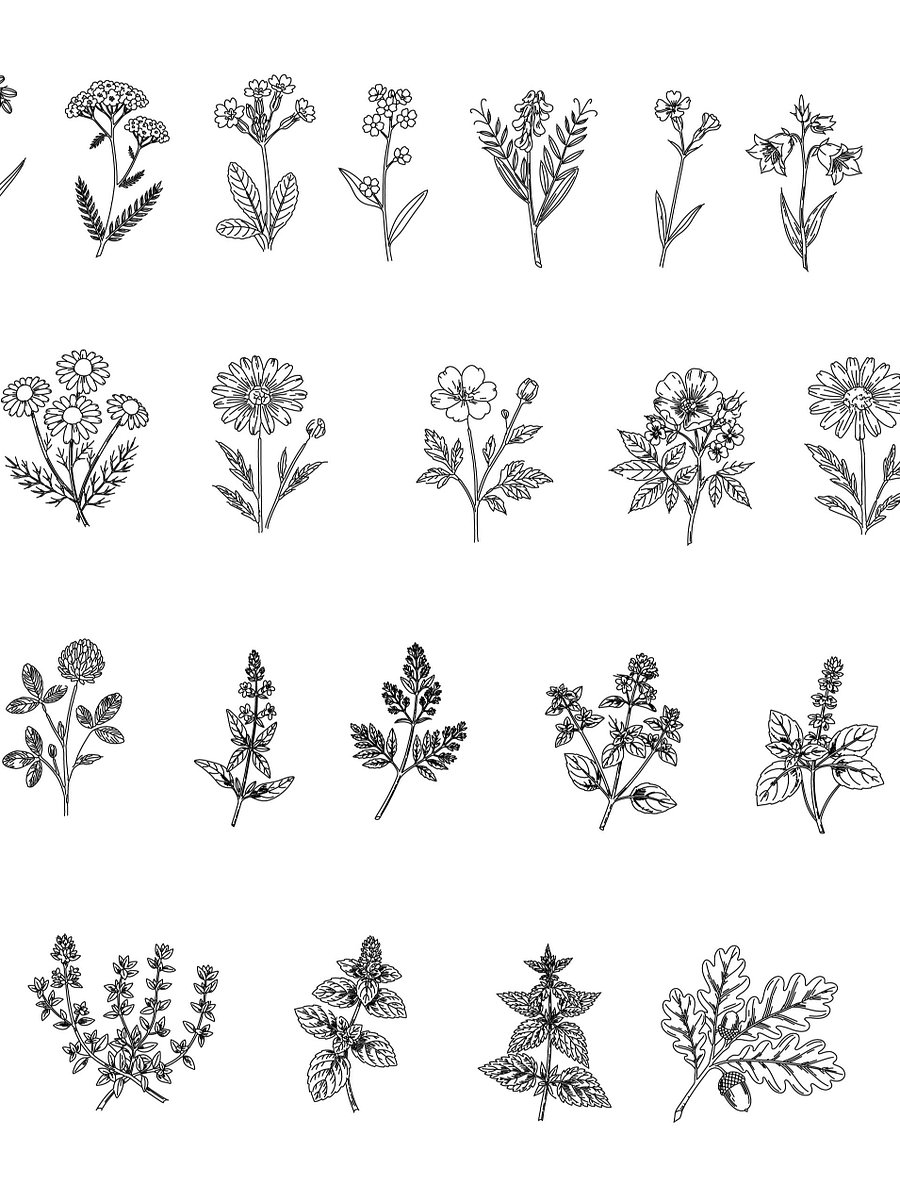 Botanical Line Art Bundle – Floral SVG Art Collection with Flowers, Leaves, Plants, and More product image (3)