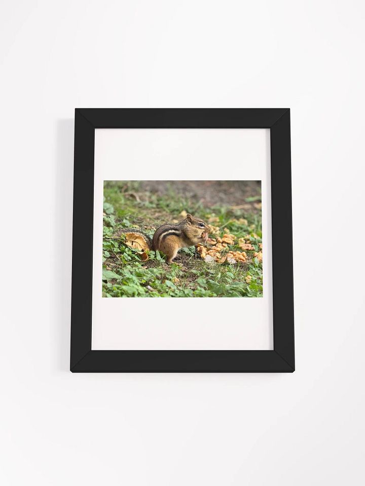 Chipmunk Delight Matte Poster product image (5)