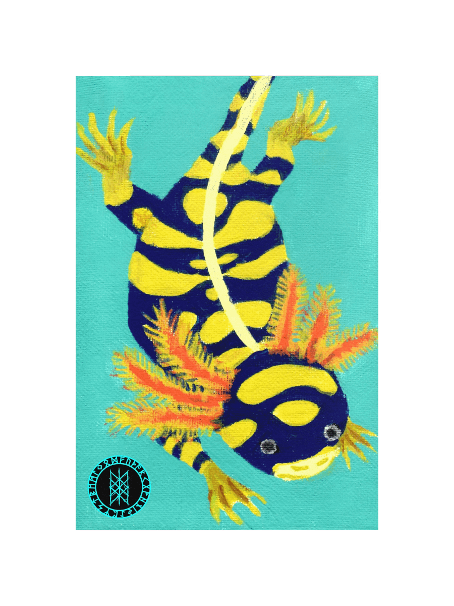 Gone Fission June Banded Axolotl Matte Paper Poster product image (10)