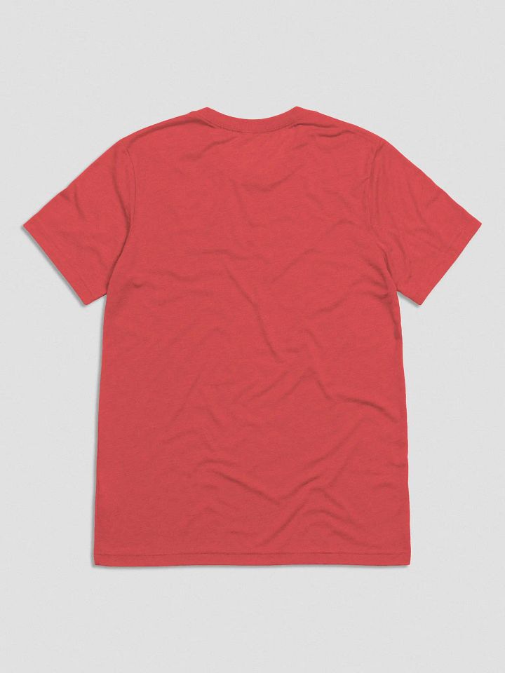 Pedantic T-Shirt (White Text, Tri-Blend) product image (13)