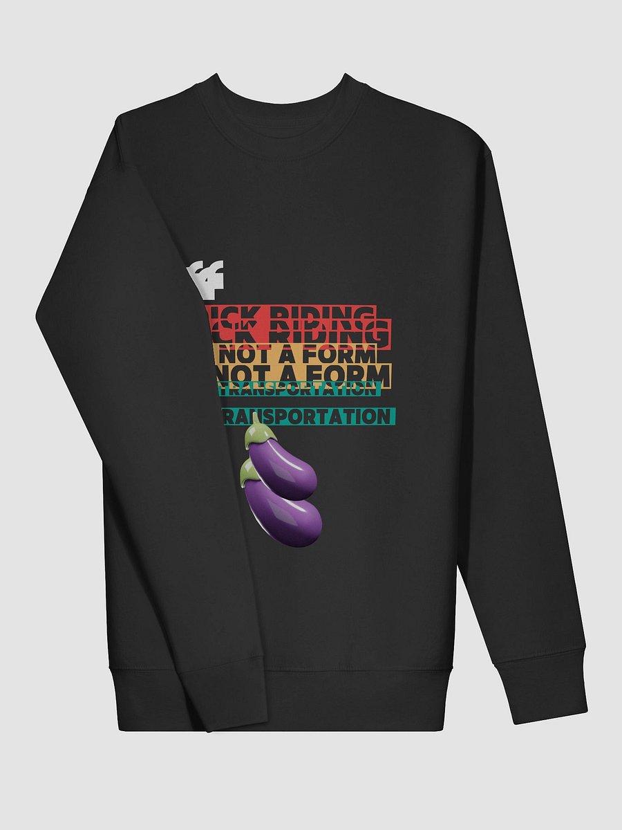 D Riding Is Not A Form Of Transportation Sweater product image (14)