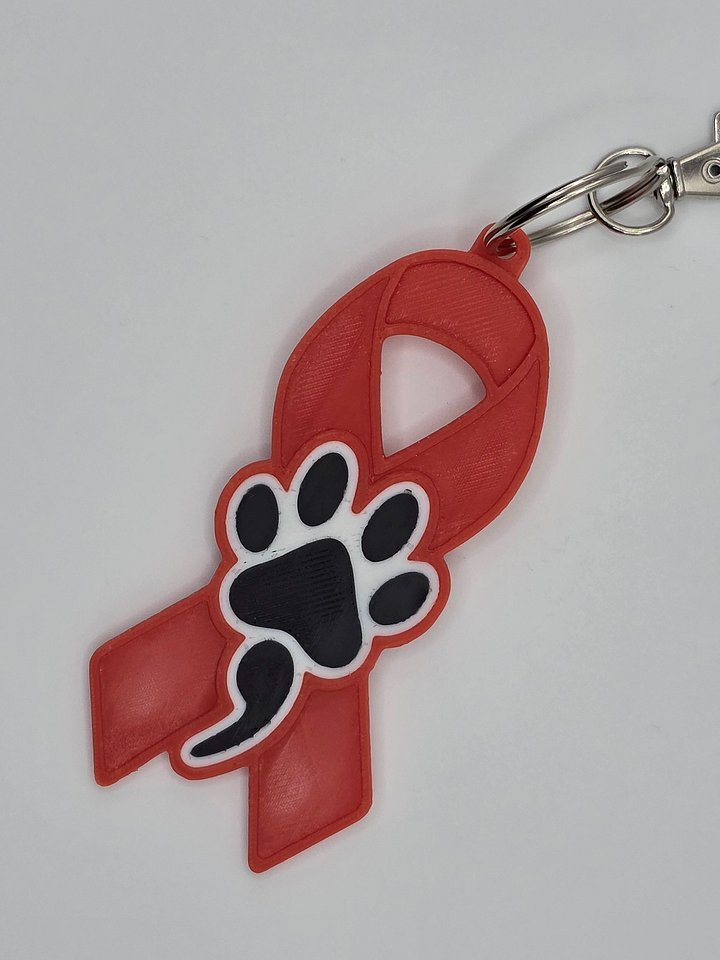 ❤️ Red Awareness Ribbon Keychain | Dog Paw Semicolon product image (2)