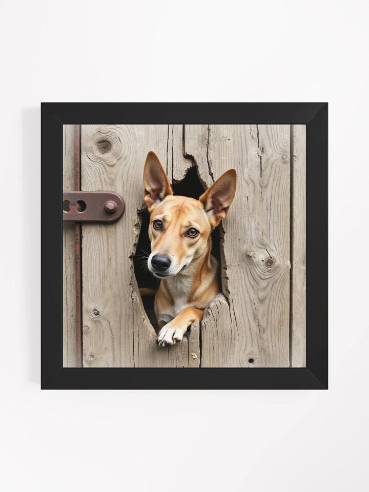 Rustic Wood Fence Peeker Framed Print product image (11)