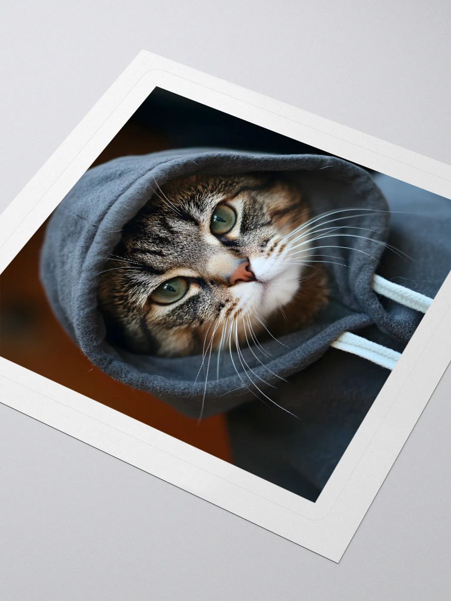 Hacker Cat product image (7)