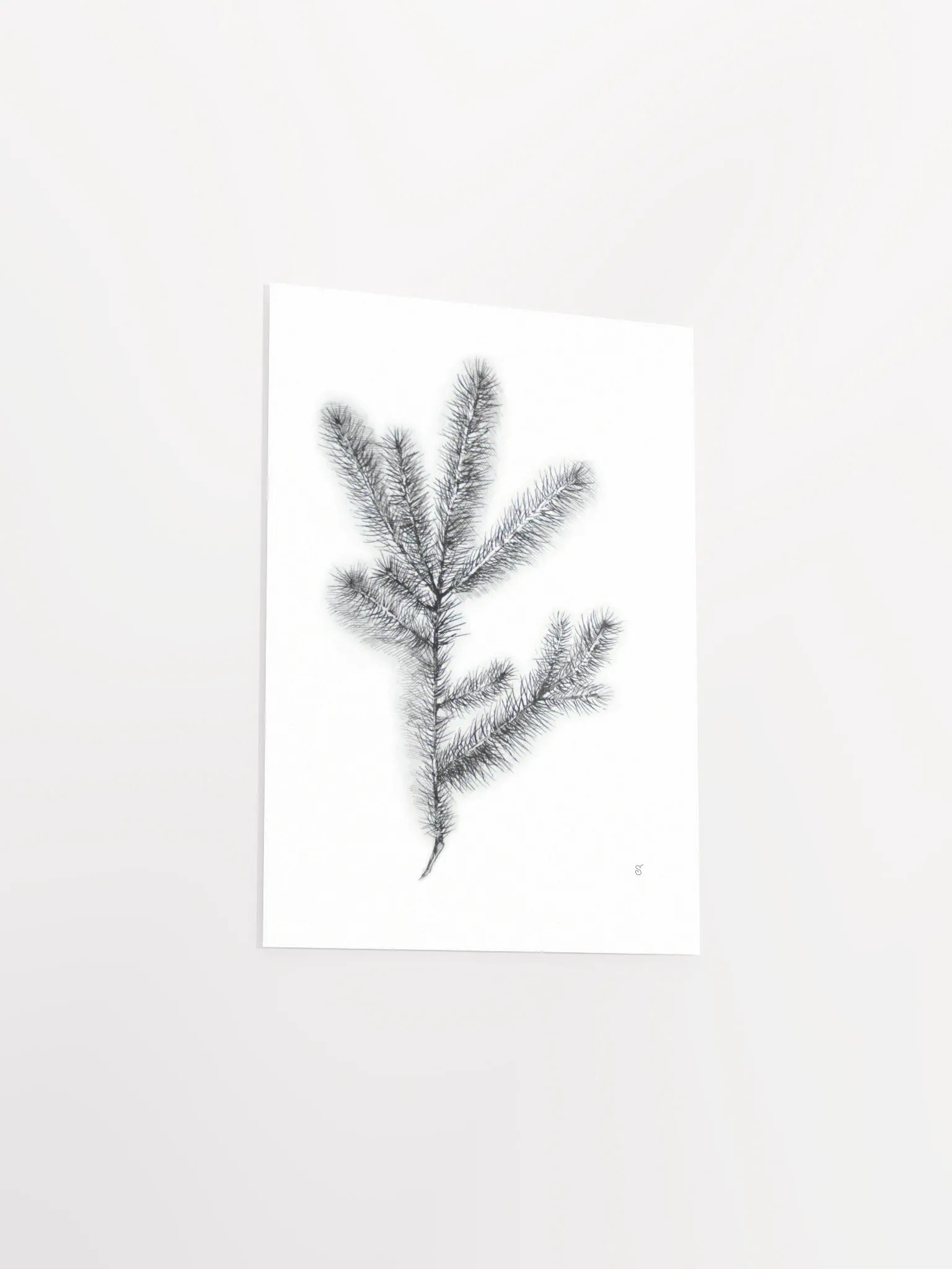 Whimsical Coniferous Branch Poster - Spruce Branch product image (3)