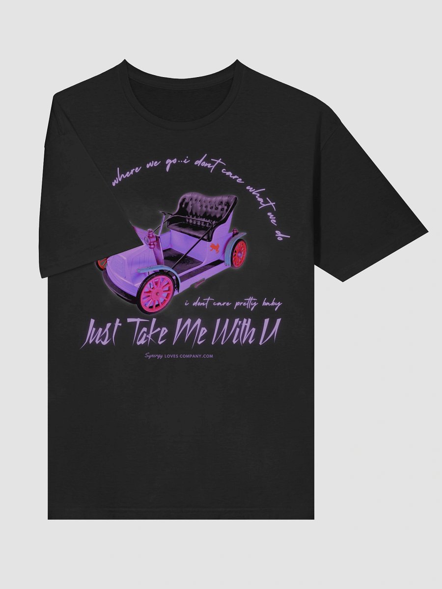 Take Me on a Wild Ride T-Shirt product image (5)