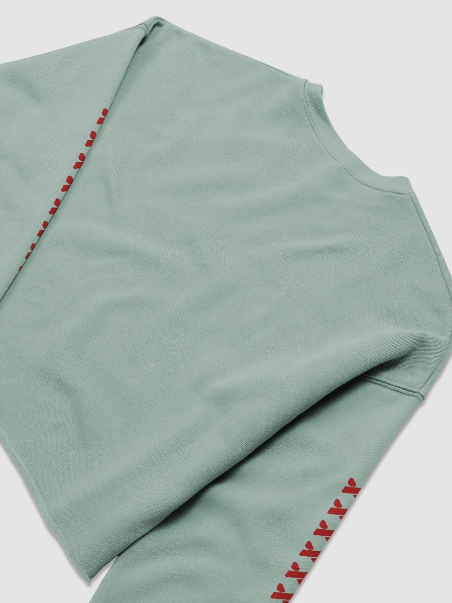 Vanessa Into Madness Crop Long Sleeve product image (6)