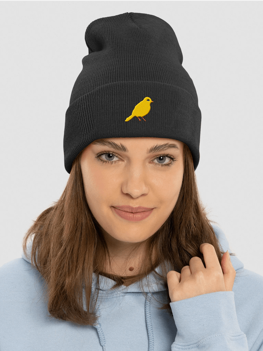 Jitterbird Embroidered Beanie product image (22)
