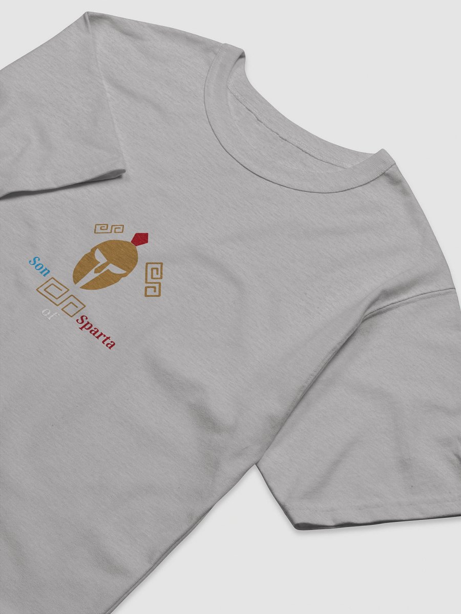 Spartan Legacy Relaxed-Fit Tee product image (3)