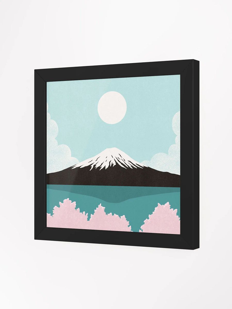 Fuji product image (2)
