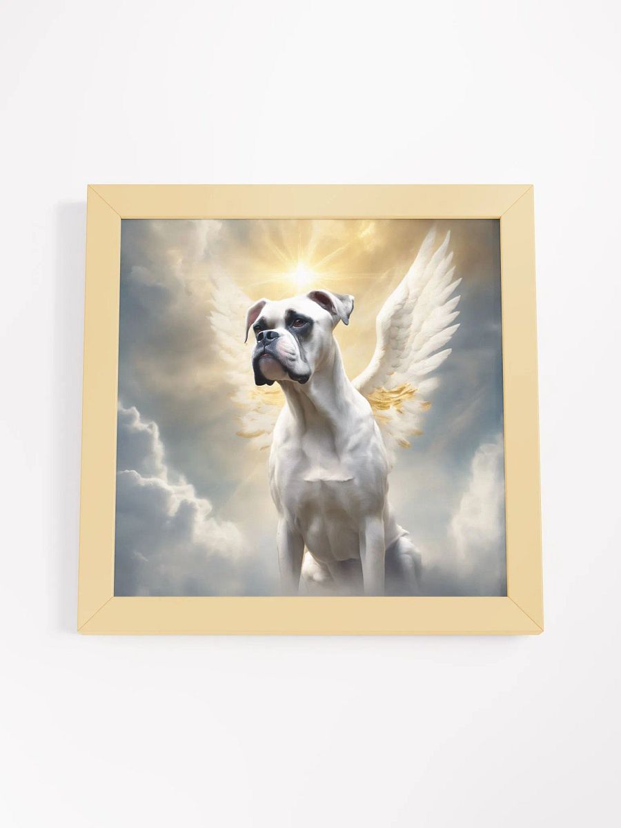 Angelic White Boxer product image (35)