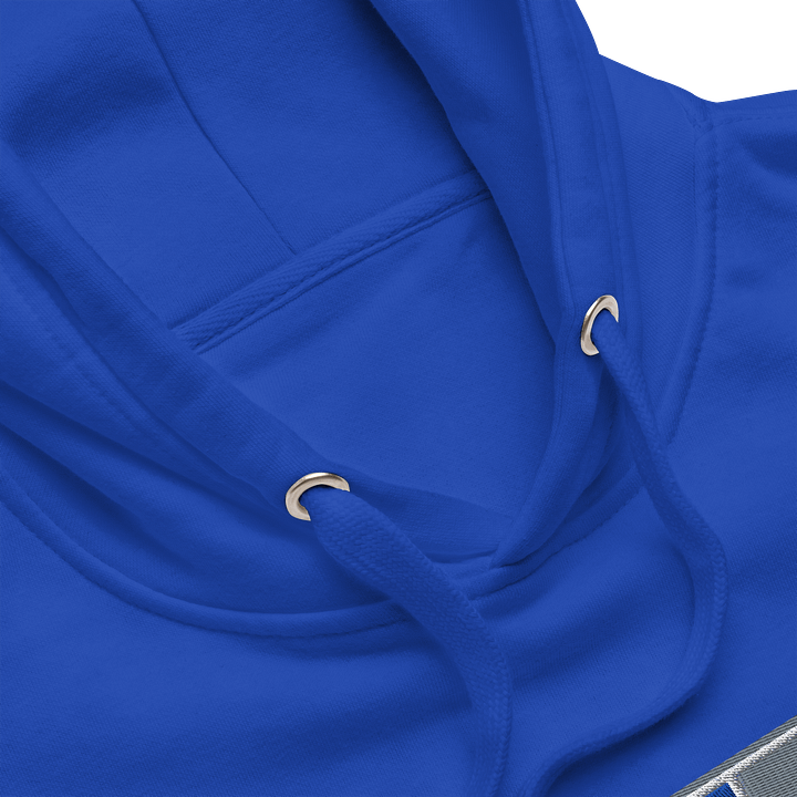 Core 313 Hoodie #1 product image (2)