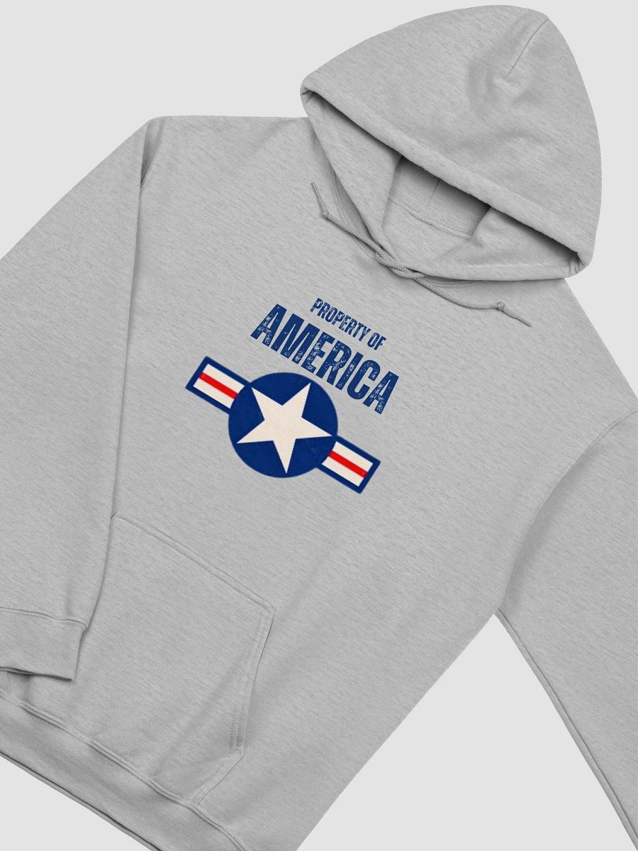 Property of America Hoodie product image (19)