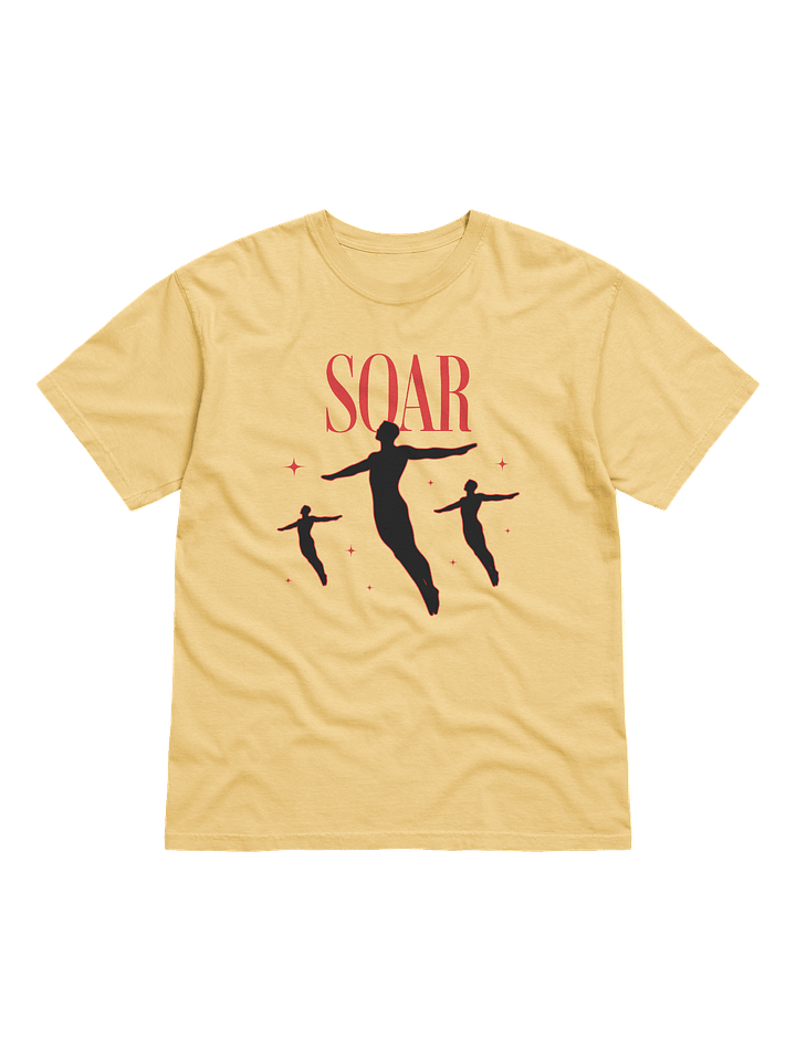 Soar High Comfort: Garment-Dyed Tee product image (34)