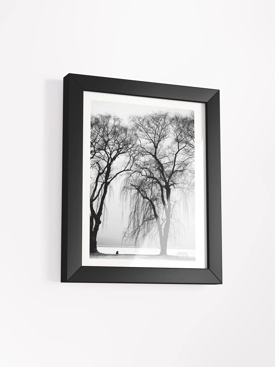 SOLACE IN THE MIST product image (30)