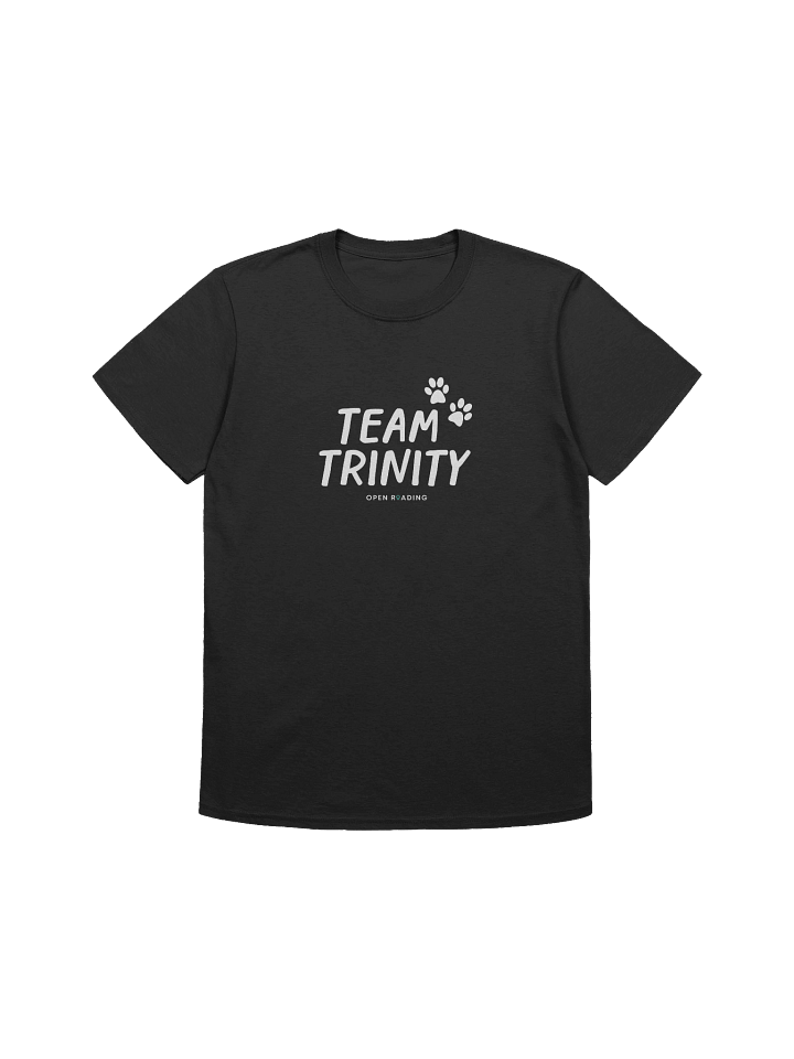Team Trinity Adult-Sized Tee product image (1)