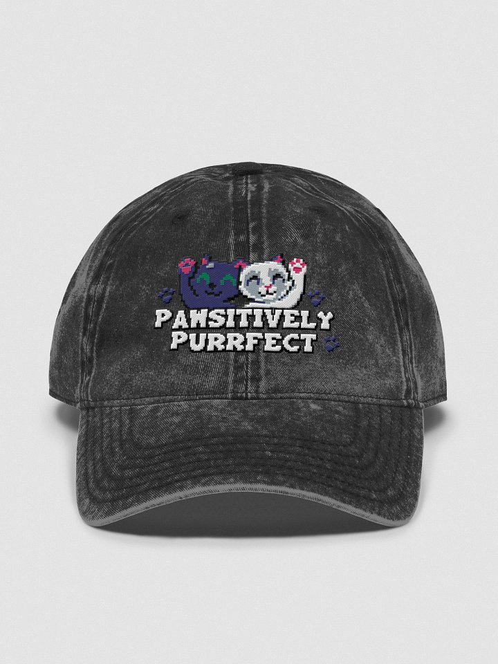 Pawsitively Purrfect Hat product image (1)