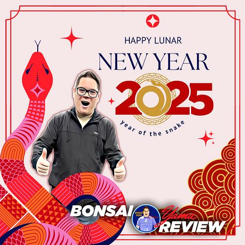 HAPPY LUNAR NEW YEAR 🧧 HAPPY YEAR IF THE SNAKE #2025 #celebration