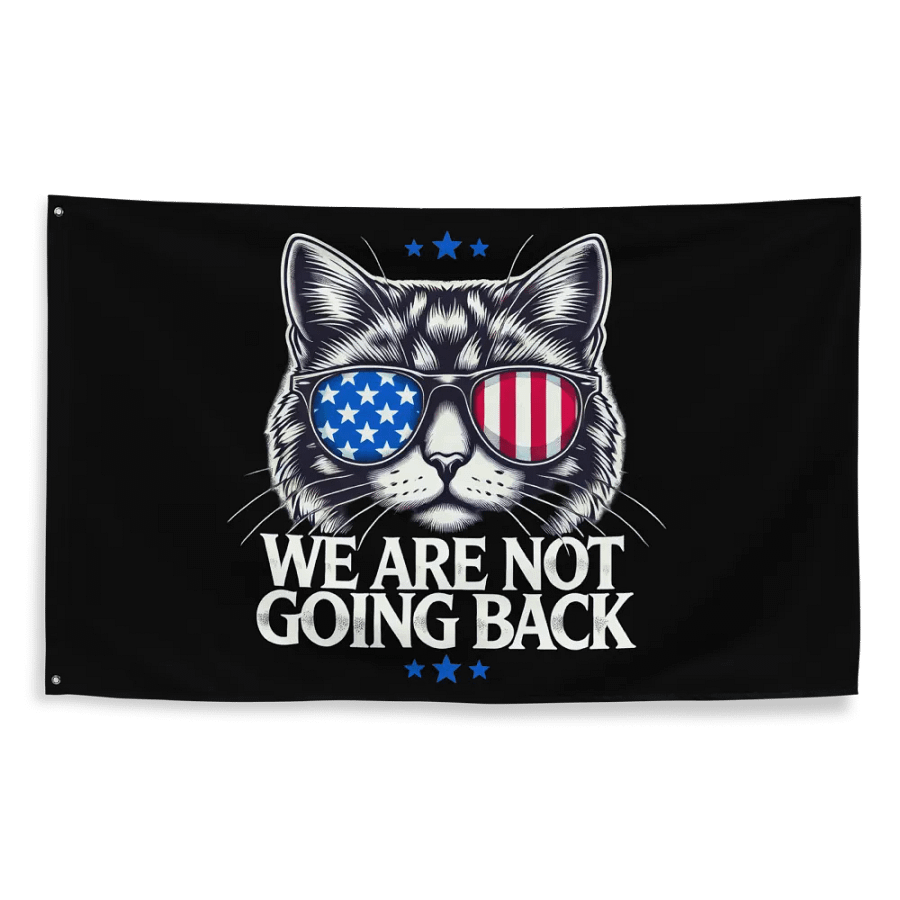 US Election Day 2024 We Are Not Going Back Cat America Flag product image (10)