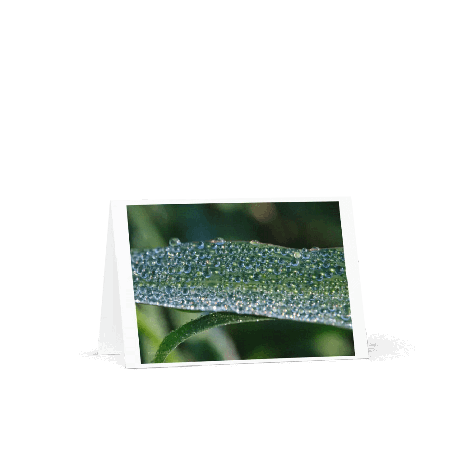 Dew-Encrusted Grass Greeting Card product image (3)