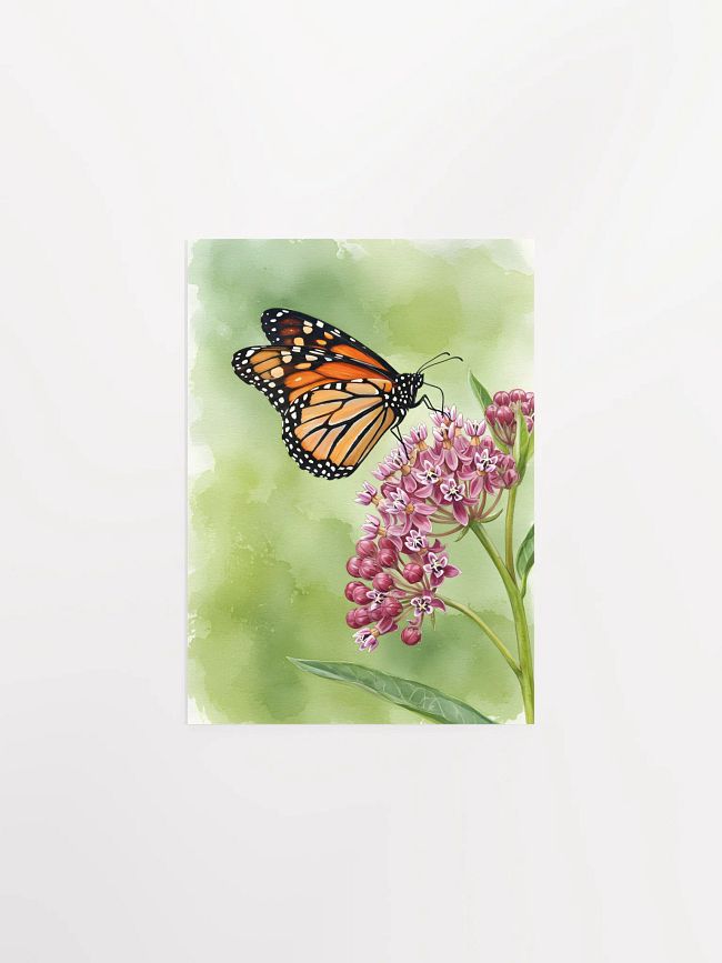 Nature Posters