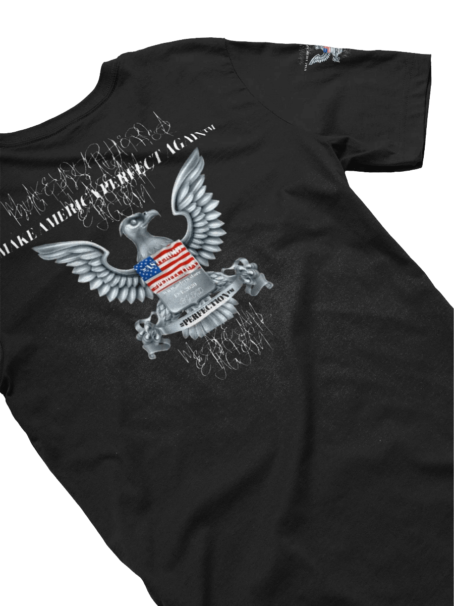 MAPA-MAKE AMERICA PERFECT AGAIN T-SHIRT product image (38)