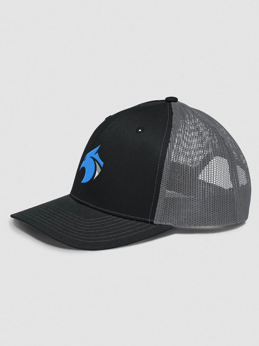 Richardson Style Dirty Logo product image (2)