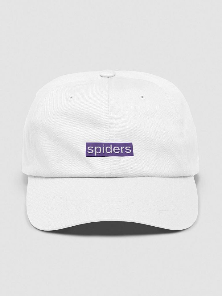 Highlighting Spiders Dad Cap product image (1)