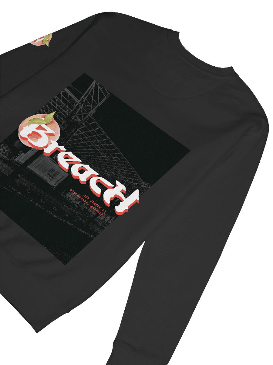 Breach Alpharetta Peach Crewneck (Dark) product image (4)
