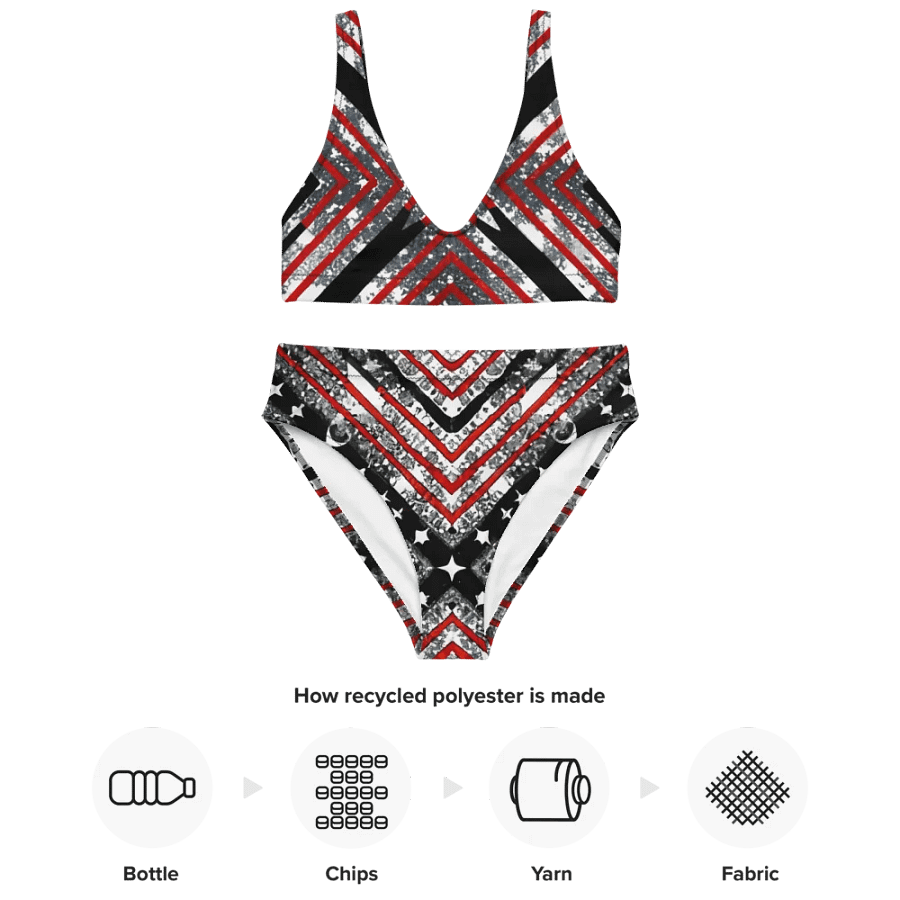 Black/Silver and Stripes Bikini product image (4)