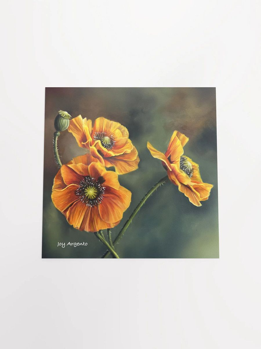Orange Poppies Print product image (8)