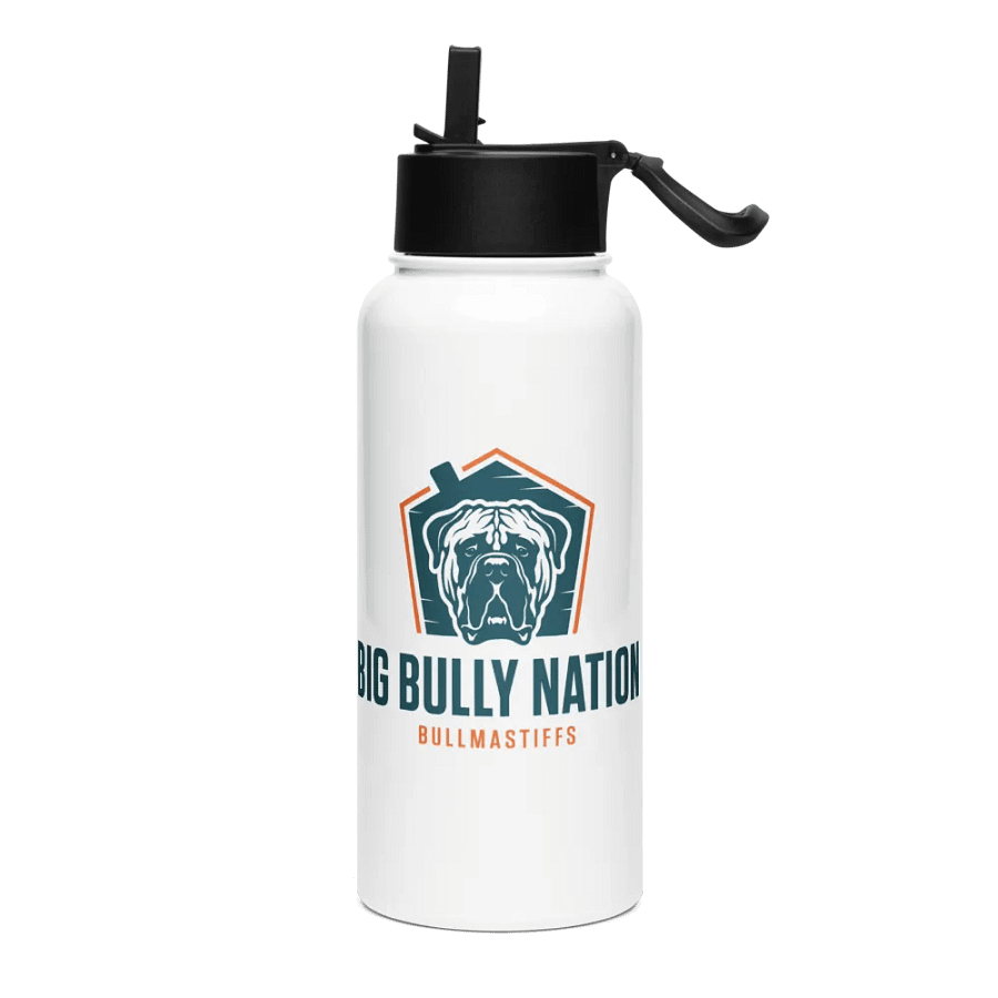 BBN Stainless Steel Water Bottle product image (3)