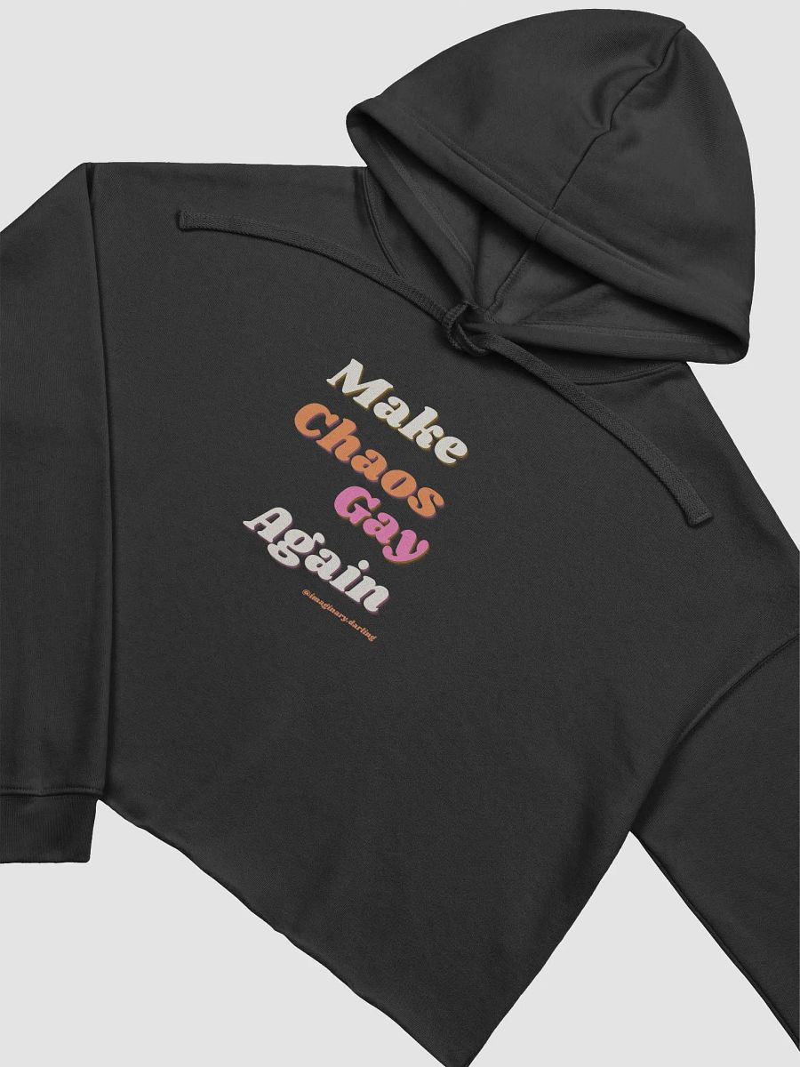 chaotic gay campaign cropped hoodie product image (10)