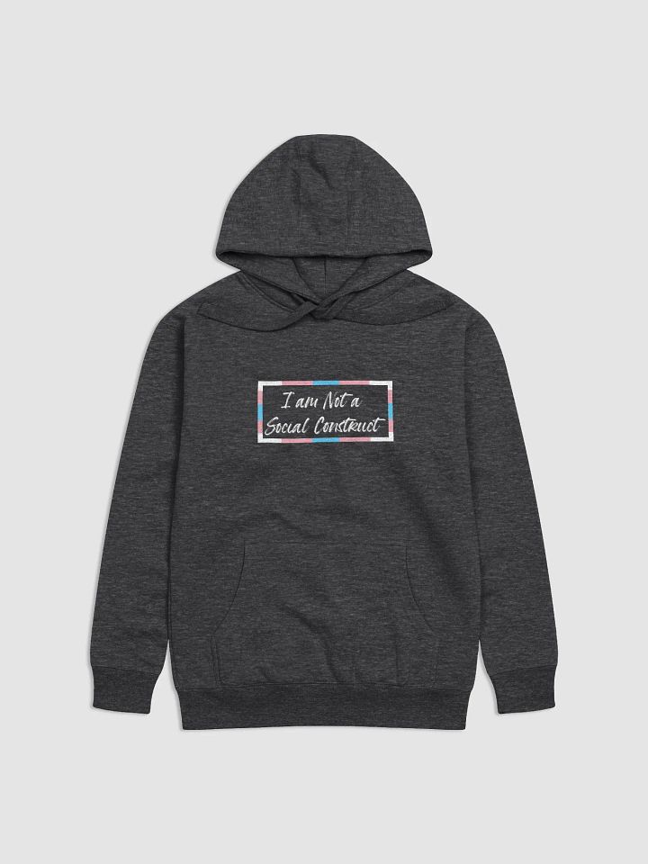 I am Not a Social Construct - Trans - Hoodie product image (1)