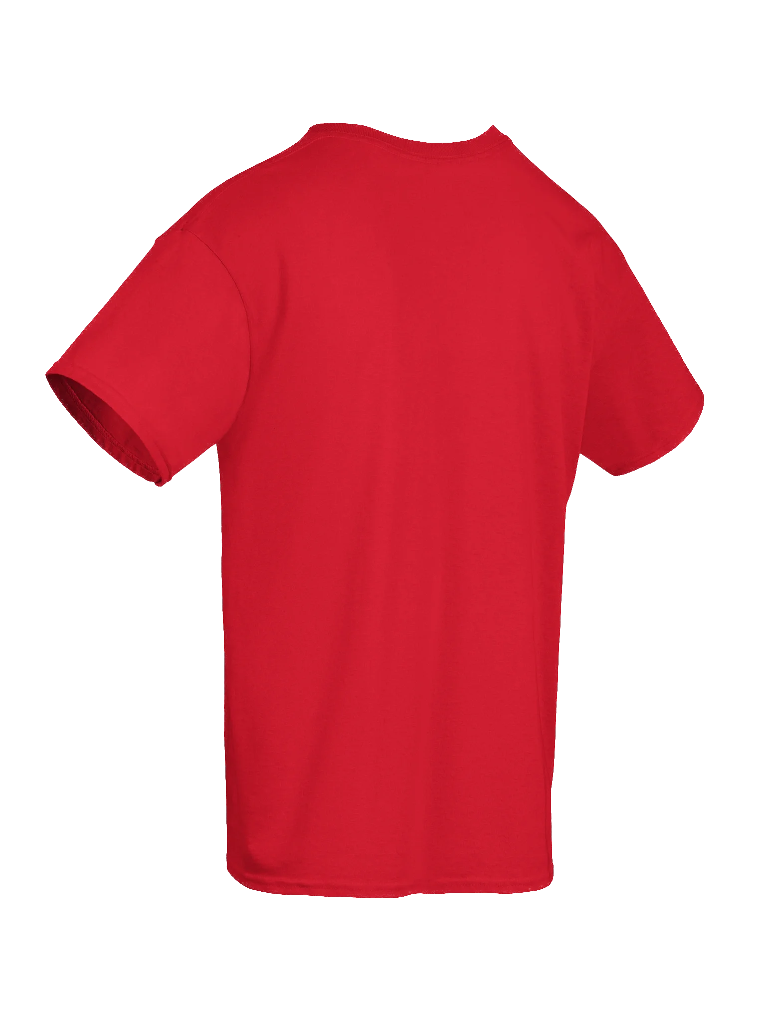 Winged Hussar World Tour product image (19)