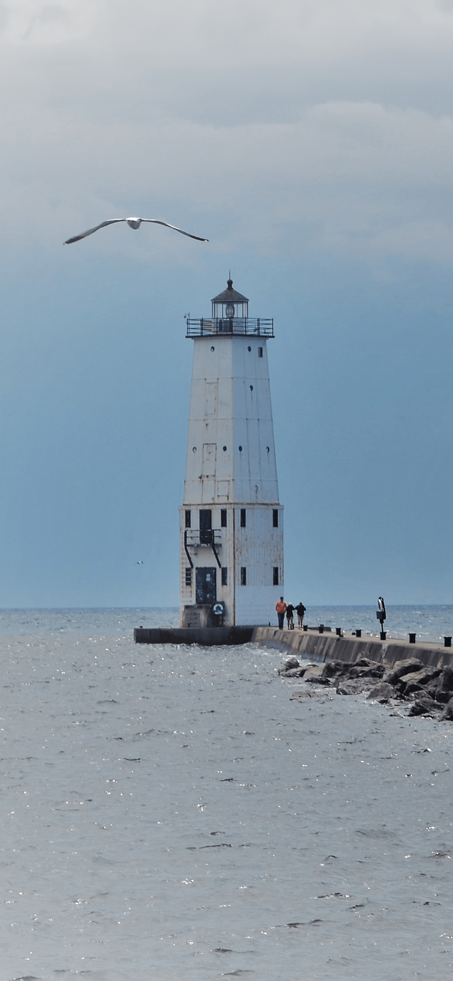 Lighthouse and Seagull Phone Background product image (1)