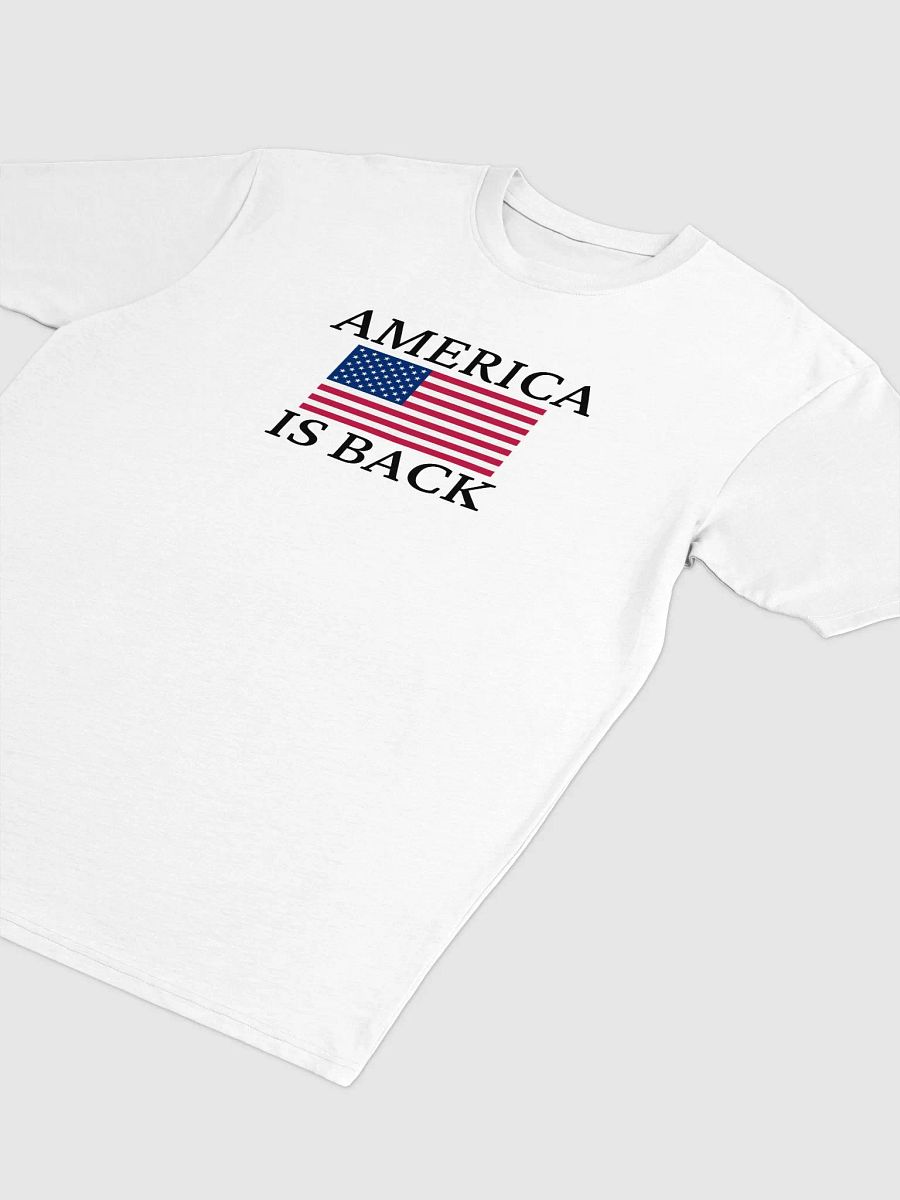 AMERICA IS BACK Tee product image (3)