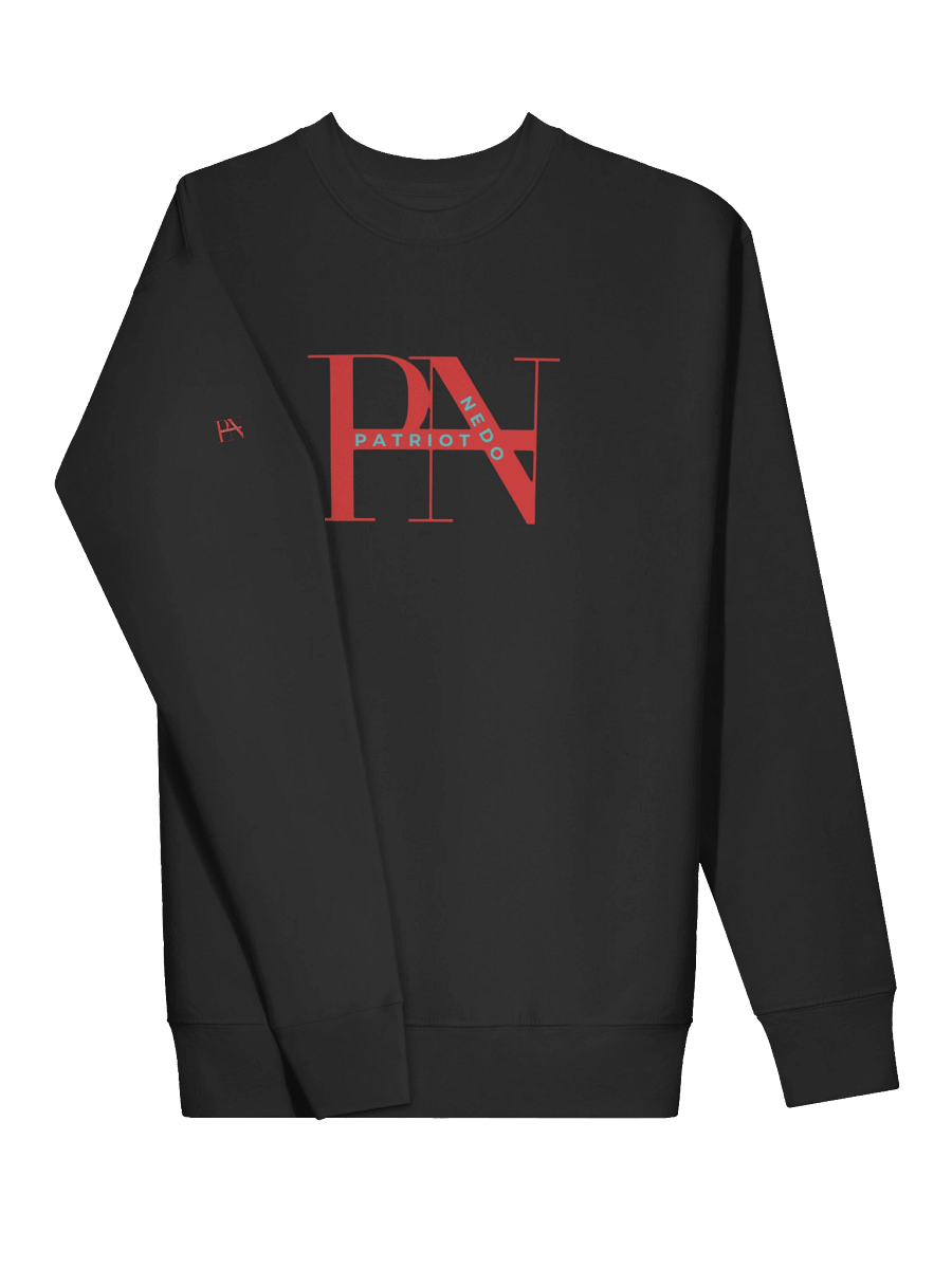 PN Patriotic Stylized Sweatshirt product image (8)
