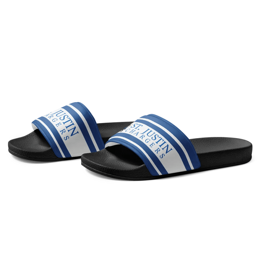 STJ Slides product image (2)