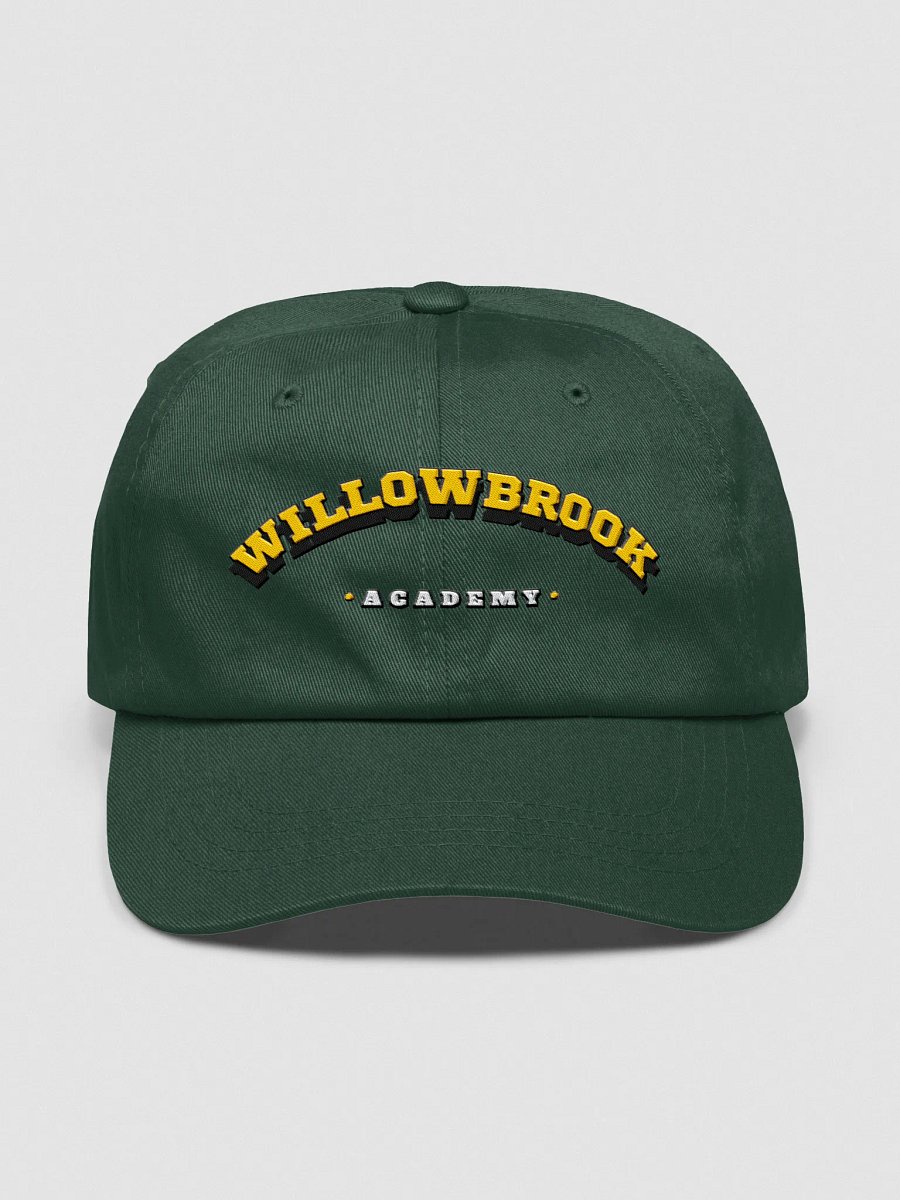 Willowbrook Classic Dad Hat product image (3)