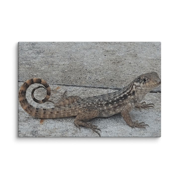 Patterned Lizard Canvas product image (2)