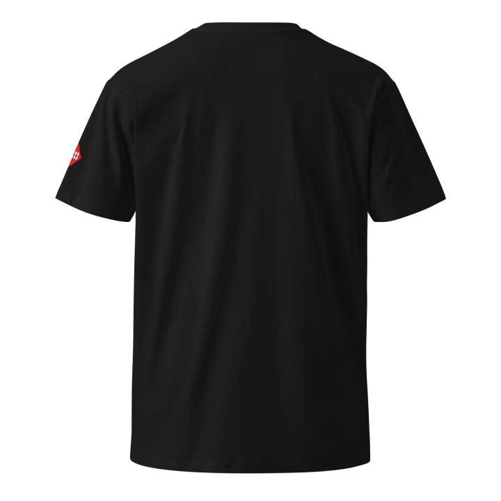 Introvert T shirt product image (2)