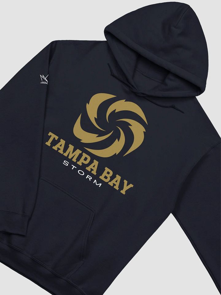 Tampa Bay Storm TJX Classic Hoodie by Gildan product image (1)