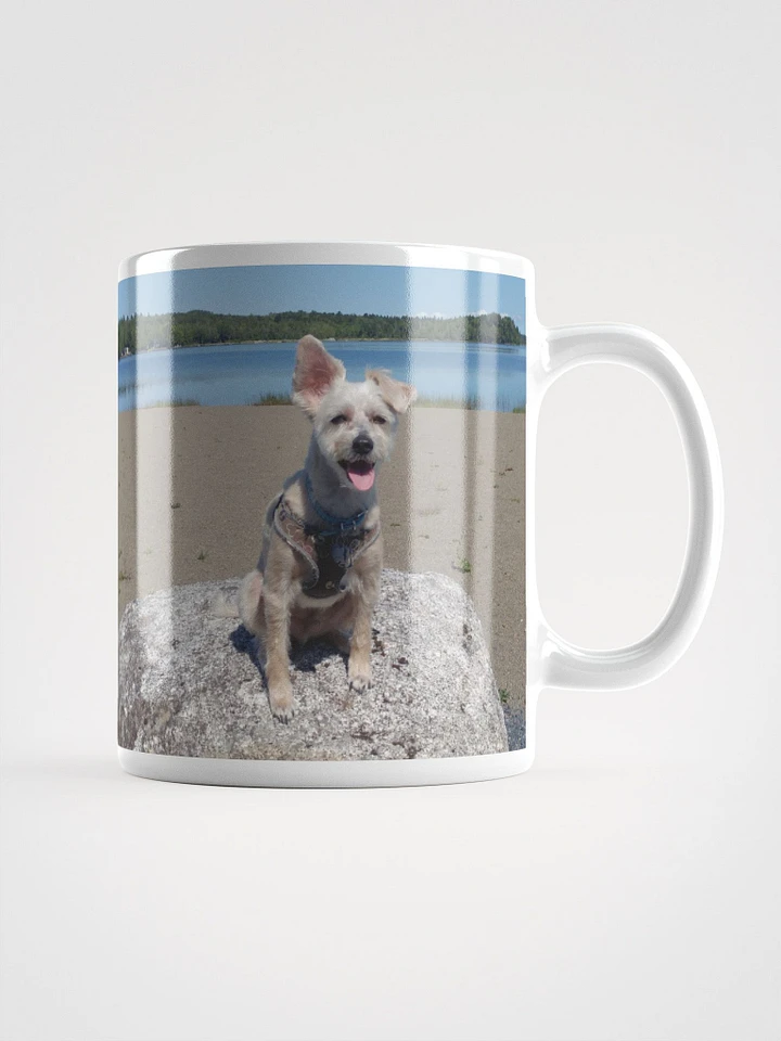 Mozzie At The Lake Mug product image (1)